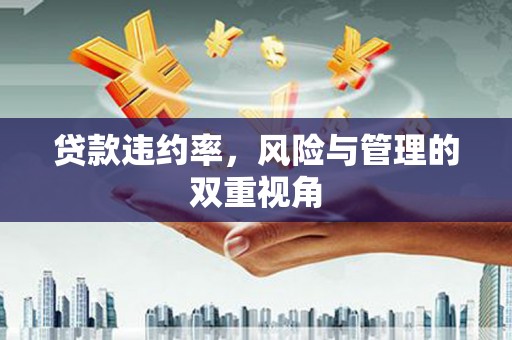 凤台贷款违约率，风险与管理的双重视角