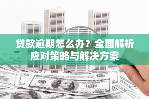 凤台贷款逾期怎么办？全面解析应对策略与解决方案