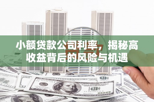 凤台小额贷款公司利率，揭秘高收益背后的风险与机遇