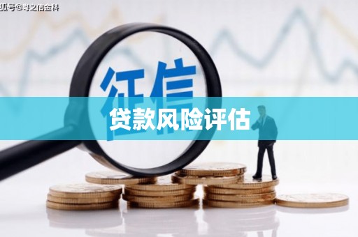 凤台贷款风险评估