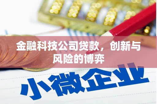 凤台金融科技公司贷款，创新与风险的博弈