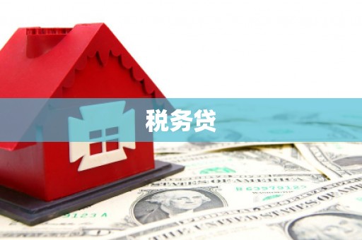 凤台税务贷