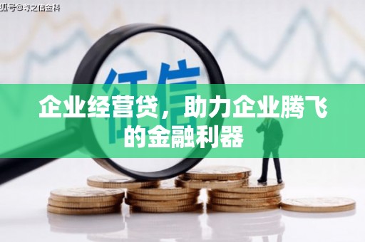 凤台企业经营贷，助力企业腾飞的金融利器