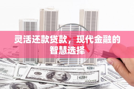 凤台灵活还款贷款，现代金融的智慧选择