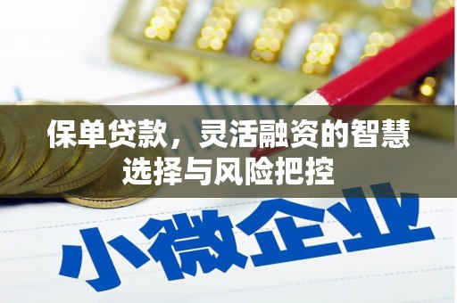 凤台保单贷款，灵活融资的智慧选择与风险把控