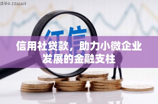 凤台信用社贷款，助力小微企业发展的金融支柱