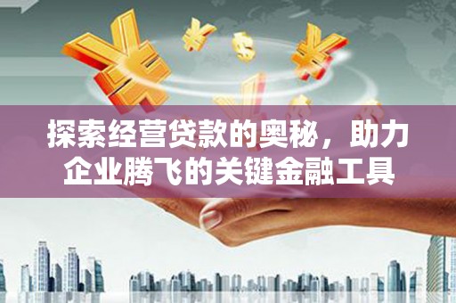 凤台探索经营贷款的奥秘，助力企业腾飞的关键金融工具