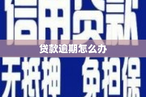 凤台贷款逾期怎么办