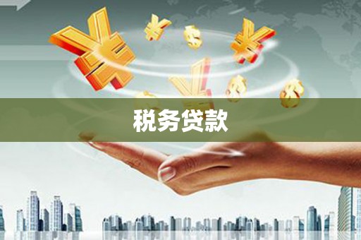 凤台税务贷款