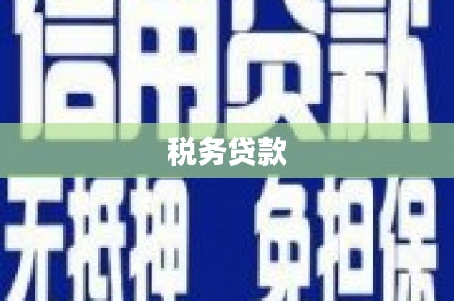 凤台税务贷款