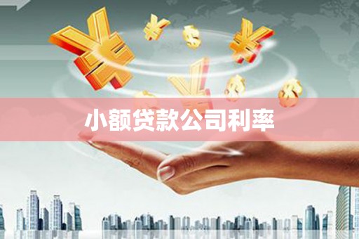 凤台小额贷款公司利率