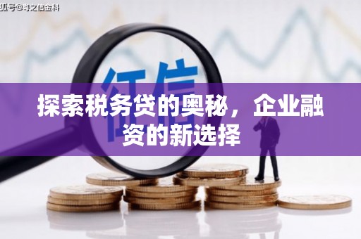 凤台探索税务贷的奥秘，企业融资的新选择