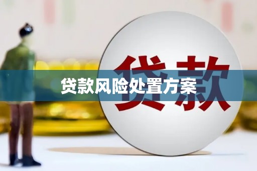 凤台贷款风险处置方案