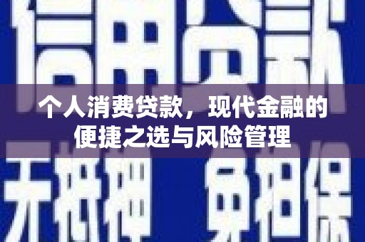 凤台个人消费贷款，现代金融的便捷之选与风险管理