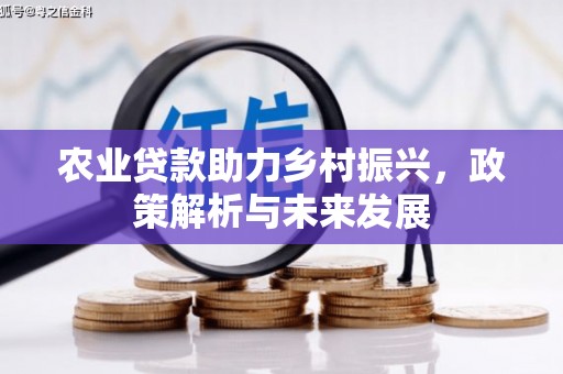 凤台农业贷款助力乡村振兴，政策解析与未来发展