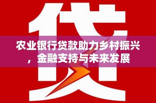凤台农业银行贷款助力乡村振兴，金融支持与未来发展