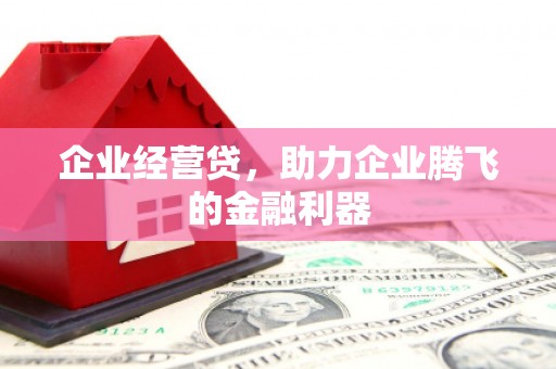 凤台企业经营贷，助力企业腾飞的金融利器