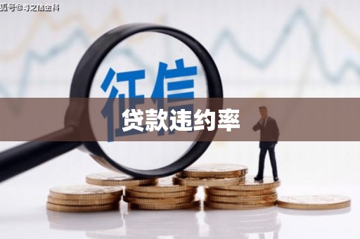 凤台贷款违约率