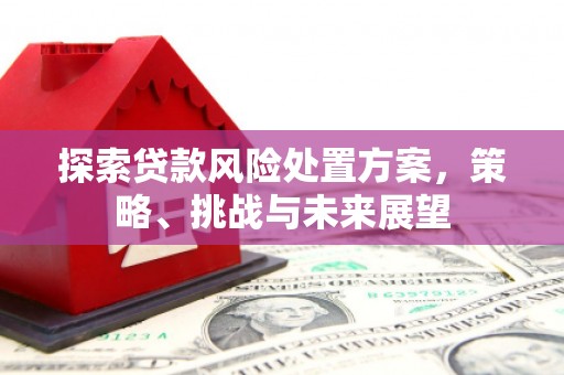 凤台探索贷款风险处置方案，策略、挑战与未来展望