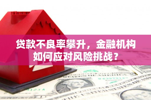 凤台贷款不良率攀升，金融机构如何应对风险挑战？