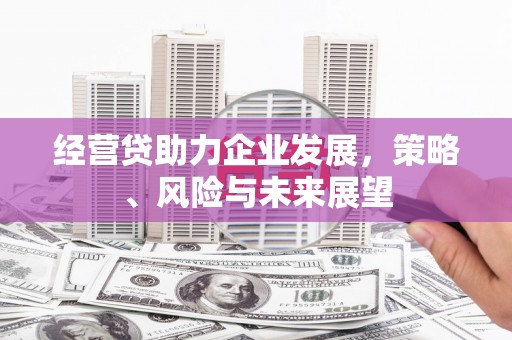 凤台经营贷助力企业发展，策略、风险与未来展望