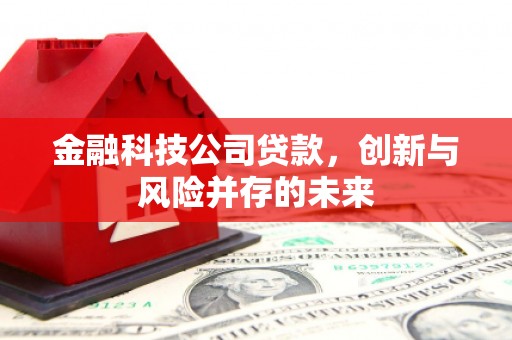 凤台金融科技公司贷款，创新与风险并存的未来