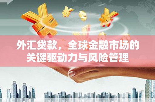 凤台外汇贷款，全球金融市场的关键驱动力与风险管理