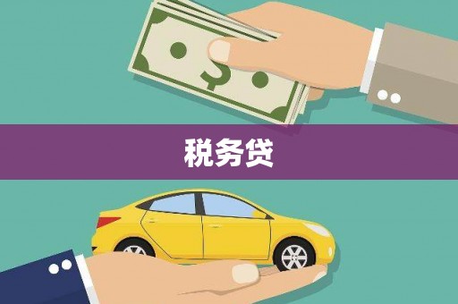 凤台税务贷