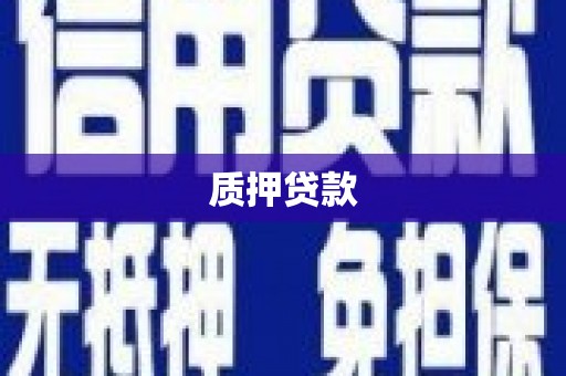 凤台质押贷款