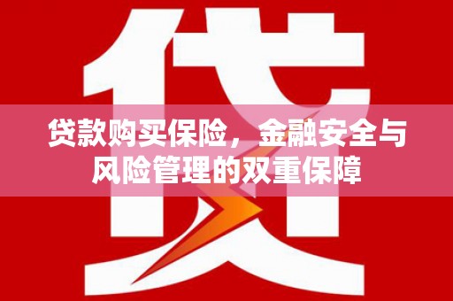 凤台贷款购买保险，金融安全与风险管理的双重保障