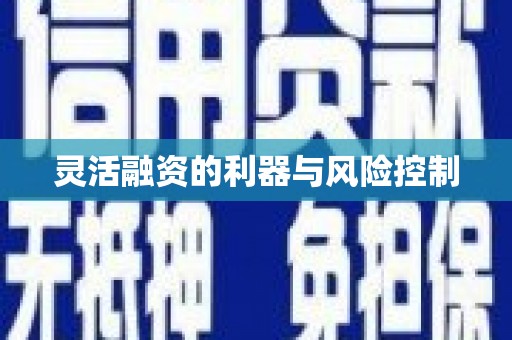 凤台灵活融资的利器与风险控制