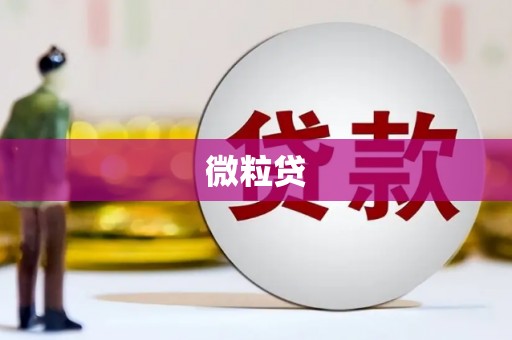 凤台微粒贷