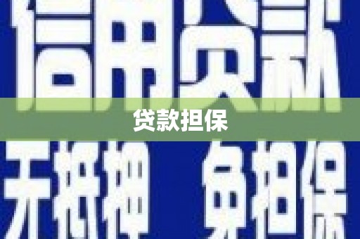 凤台贷款担保