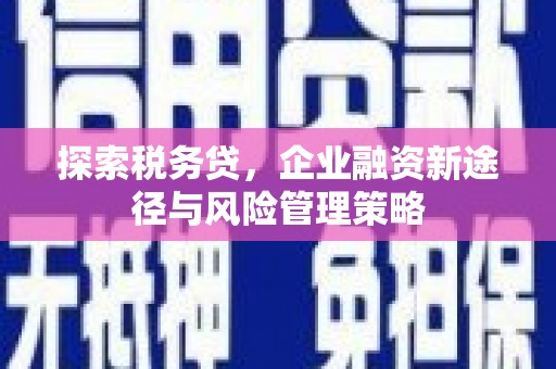 凤台探索税务贷，企业融资新途径与风险管理策略
