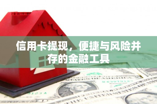 凤台信用卡提现，便捷与风险并存的金融工具
