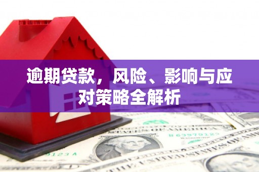 凤台逾期贷款，风险、影响与应对策略全解析