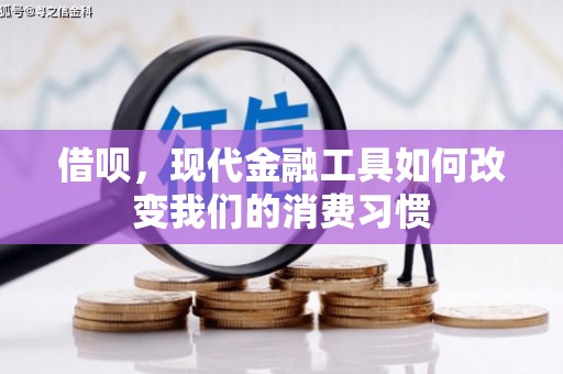 凤台借呗，现代金融工具如何改变我们的消费习惯