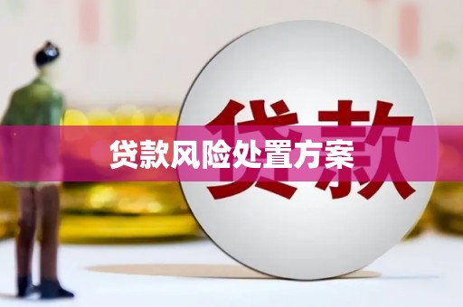 凤台贷款风险处置方案