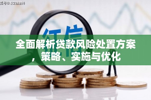 凤台全面解析贷款风险处置方案，策略、实施与优化