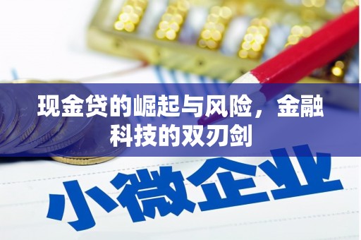 凤台现金贷的崛起与风险，金融科技的双刃剑