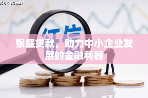 凤台银盛贷款，助力中小企业发展的金融利器