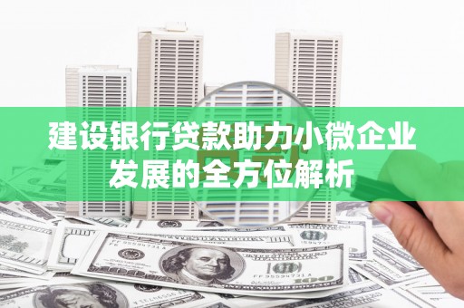 凤台建设银行贷款助力小微企业发展的全方位解析