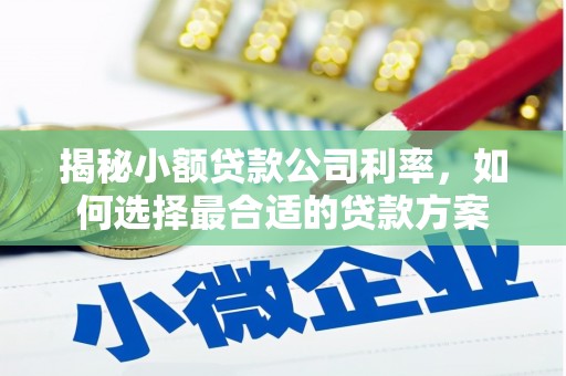 凤台揭秘小额贷款公司利率，如何选择最合适的贷款方案