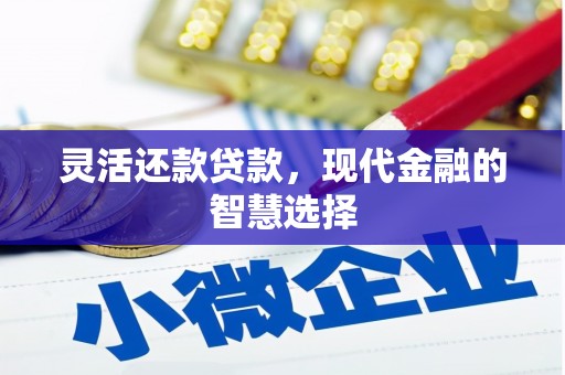 凤台灵活还款贷款，现代金融的智慧选择