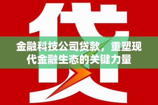 凤台金融科技公司贷款，重塑现代金融生态的关键力量