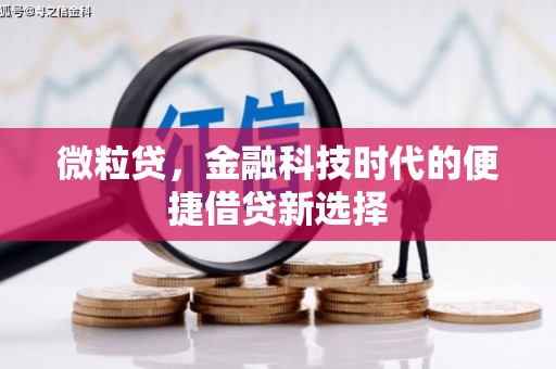 凤台微粒贷，金融科技时代的便捷借贷新选择