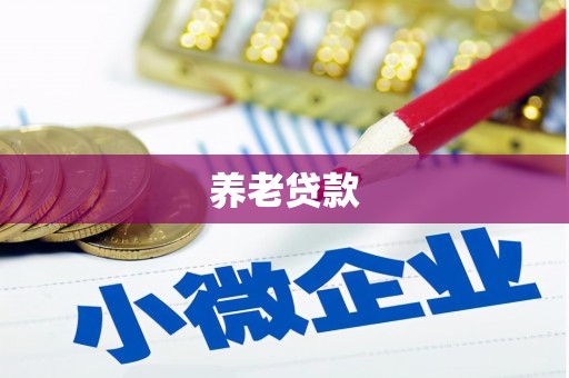 凤台养老贷款