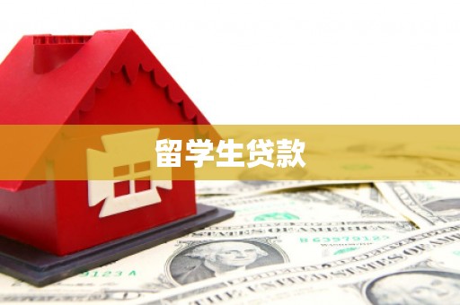 凤台留学生贷款