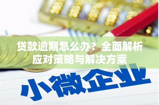 凤台贷款逾期怎么办？全面解析应对策略与解决方案