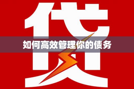凤台如何高效管理你的债务